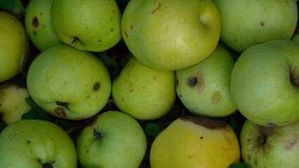 Green apples
