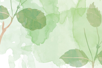 leaves green Abstract light wet wash splash for your design Hand painted watercolor background