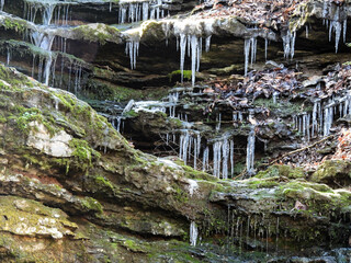 Fototapeta na wymiar Icicles in a park in Knoxville, Tennessee