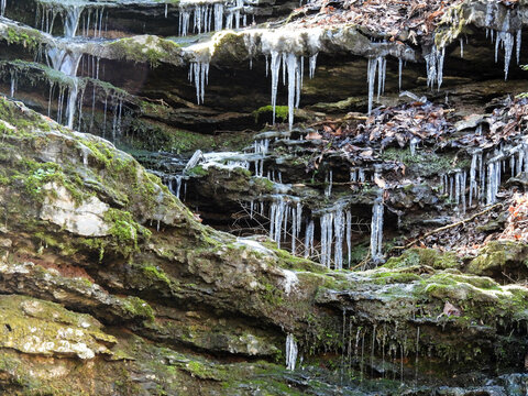 Icicles in a park in Knoxville, Tennessee