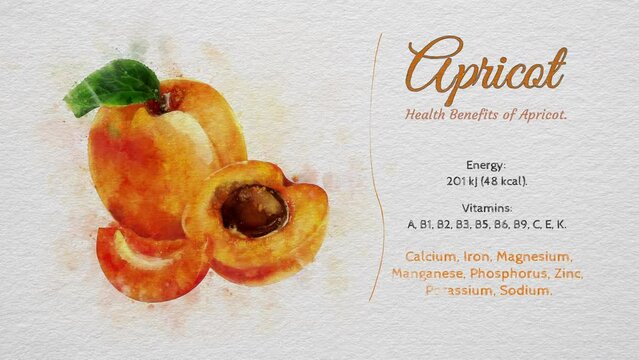 Health Benefits and Nutritional Values of Apricot.