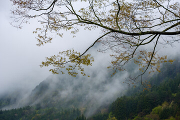 Obraz na płótnie Canvas 深い霧と雲に覆われた山　木曽駒ヶ岳　日本アルプス