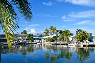 Waterfront view with palm trees along a canal at Marathon Key in the Florida Keys - obrazy, fototapety, plakaty