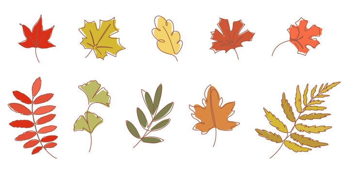 How to Draw Autumn Leaves