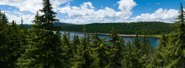 Thick forest surrounds Clear Lake, not far from Mount Hood, Oregon. The Pacific Northwest is known...