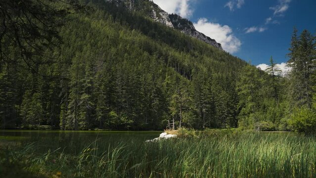 Gruner See, beautiful green lake with crystal clear water in summer, Gruner See, Styria, Austria