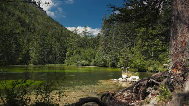 Gruner See, beautiful green lake with crystal clear water in summer, Gruner See, Styria, Austria