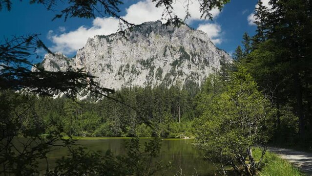 Surroundings of Gruner See, beautiful green lake with crystal clear water in summer, Gruner See, Styria, Austria