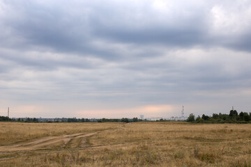 Panoramic view on sunflower field with sky