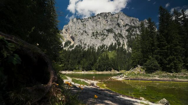 Gruner See, beautiful green lake with crystal clear water in summer, Gruner See, Styria, Austria