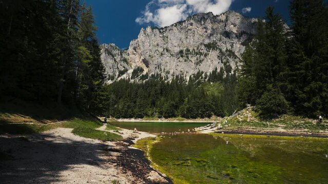 Gruner See, beautiful green lake with crystal clear water in summer, Gruner See, Styria, Austria