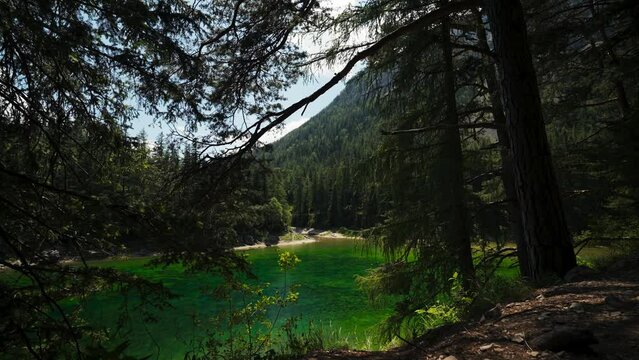 Gruner See, beautiful green lake with crystal clear water in summer, Gruner See, Styria, Austria
