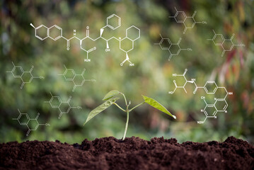 young plant growing from soil with chemical formula screen, ecology and environment concept