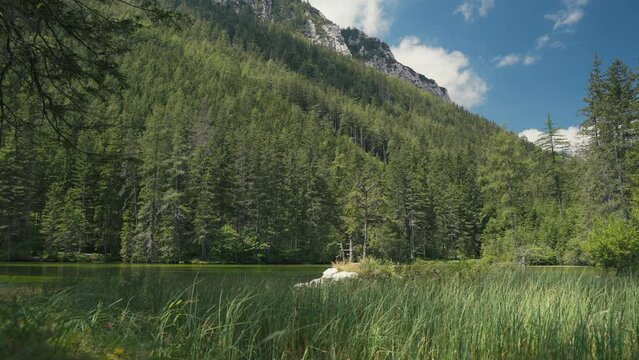 Gruner See, beautiful green lake with crystal clear water in summer, Gruner See, Styria, Austria