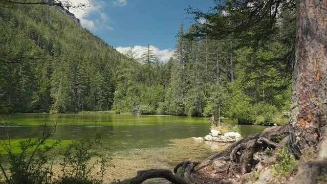 Gruner See, beautiful green lake with crystal clear water in summer, Gruner See, Styria, Austria
