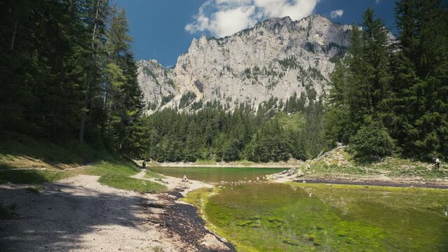 Gruner See, beautiful green lake with crystal clear water in summer, Gruner See, Styria, Austria