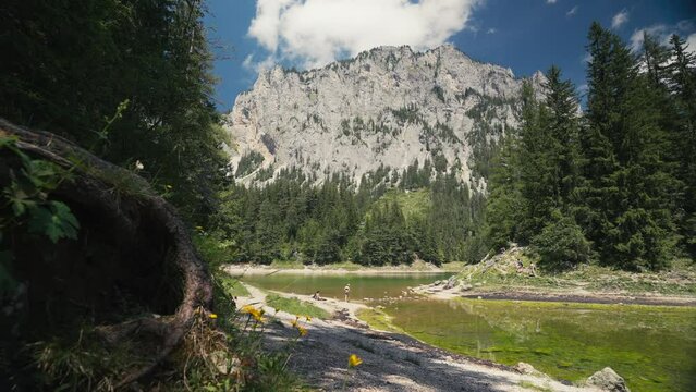 Gruner See, beautiful green lake with crystal clear water in summer, Gruner See, Styria, Austria