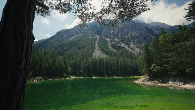 Gruner See, beautiful green lake with crystal clear water in summer, Gruner See, Styria, Austria