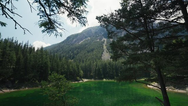 Gruner See, beautiful green lake with crystal clear water in summer, Gruner See, Styria, Austria