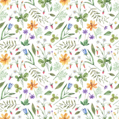 Fototapeta na wymiar Watercolor, seamless pattern with delicate, wildflowers and herbs. Romantic, floral background. Floral background in retro style with wild plants.