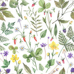 Watercolor botanical pattern with wild forest flowers, berries and herbs. Strawberries, buttercups, ferns gentle floral background, botanical texture for textiles, fabrics, wrapping paper.