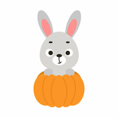 Cute little rabbit sitting in a pumpkin. Cartoon animal character for kids t-shirts, nursery decoration, baby shower, greeting card, invitation. Vector stock illustration