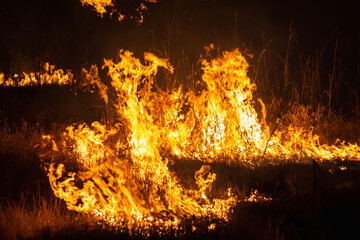 fire in the countryside of the province of Córdoba, Argentina