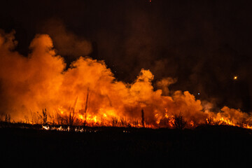 Fototapeta na wymiar fire in the countryside of the province of Córdoba, Argentina