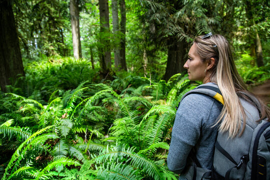 Side view of Female Hiker walking through a lush wooded forest in the beautiful Pacific Northwest full of ferns and mossy trees. Outdoor lifestyle photo