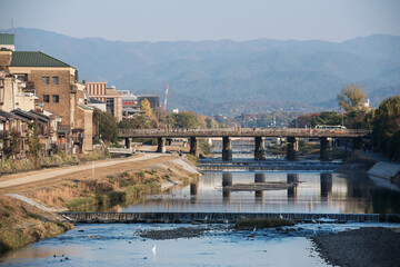 Fototapeta premium 鴨川の景色