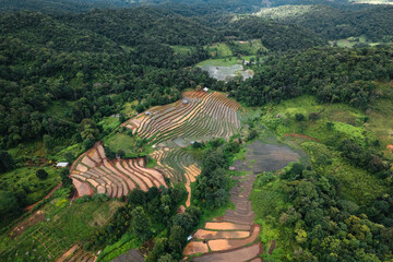 Rice fields outside the growing season