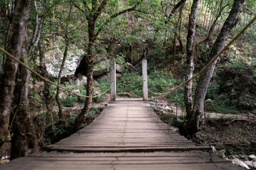 Fototapeta premium Empty wooden bridge crossing a river in a forest