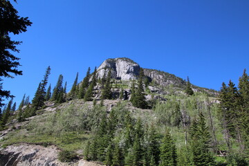 Fototapeta na wymiar Looking Up The Mountain, Banff National Park, Alberta