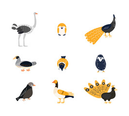 set of cartoon birds vector illustration