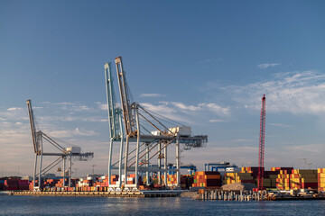 Fototapeta premium Cargo cranes in port