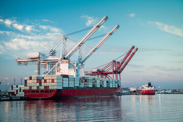 Container ship in port
