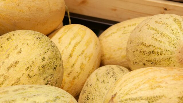 Close-up of many ripe melons and a male buyer's hands take one