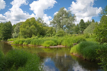 Fototapeta na wymiar Summer landscape with the Popolta River in Kaluga region, Russia