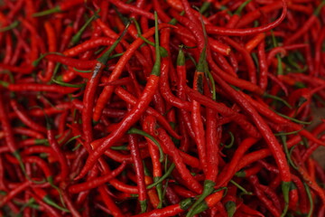 Fototapeta premium Red Chili or Cabe Kriting Background Selective Focus