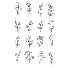 Botanical and floral icon vector