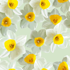Seamless pattern with flowers narcissus on green light background, vector illustration