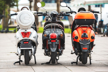 Fototapeta premium Bikes for rent. Rear view on three different scooter bike on rent parking over blurred background