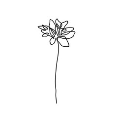 Flower Line Art Drawing. Floral Silhouette Black Sketch on White Background. Beautiful Plant Line Drawing. Flower Minimalistic Vector Illustration.