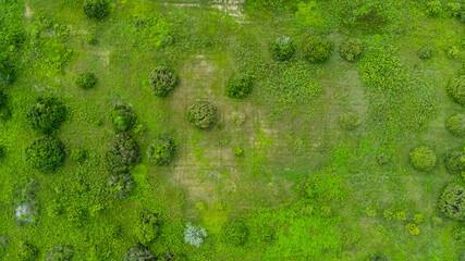 An aerial view of trees in the rainy season in rural northern Thailand. Drone flying over the forest, nature background. Flight over woods, natural background in motion. © Pornpimon