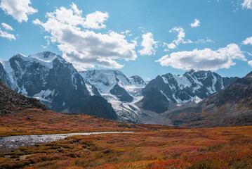 Creek among red thickets on sunlit pass with view to large snow mountain range with glaciers in autumn sunny day. Vivid autumn colors in high mountains. Motley hill and snowy mountains in bright sun.