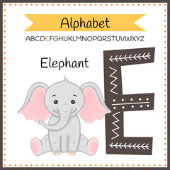 Cute children ABC animal alphabet E flashcard of Elephant for kids learning English vocabulary