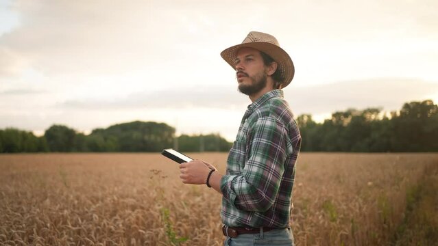 Bearded man in checkered shirt and hat browsing tablet while checking cereal crops