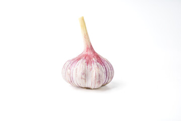 Isolated whole garlic. Fresh garlic with cloves on a white background. Spice for health.