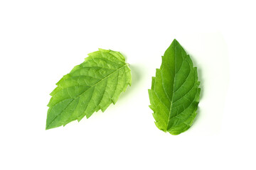 Naklejka na ściany i meble Leaf of mint peppermint isolated on white background. Green menthol herb. Fresh plant herbal for aroma