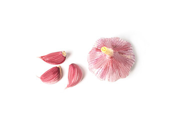 Fresh garlic with cloves on a white background.
